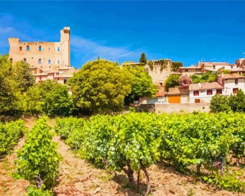 Vineyard France Landscape Paint By Numbers