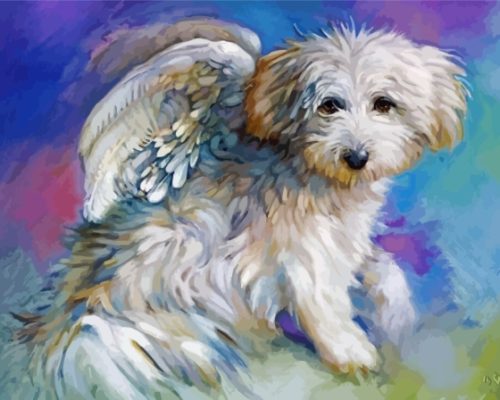 White Angel Dog Paint By Numbers