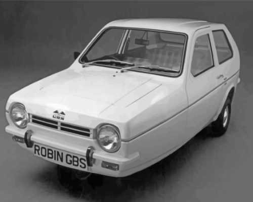 White Reliant Robin Car Paint By Numbers