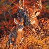 Whitetail Buck And Doe Running Paint By Numbers