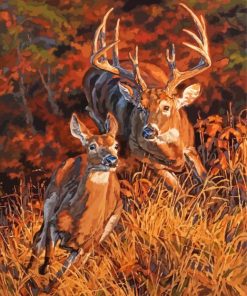 Whitetail Buck And Doe Running Paint By Numbers