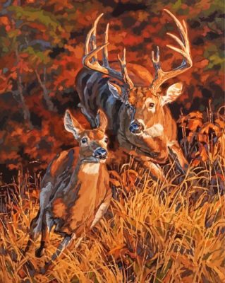 Whitetail Buck And Doe Running Paint By Numbers