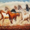 Wild Eight Horses Running Paint By Numbers