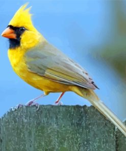 Yellow Cardinal Bird Paint By Numbers