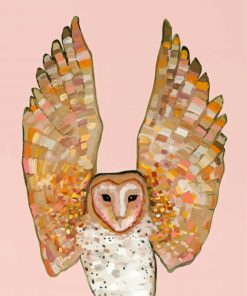 Abstract Barn Owl Wings Paint By Numbers