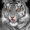 Aesthetic Black And White Tiger Paint By Numbers