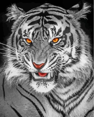 Aesthetic Black And White Tiger Paint By Numbers