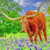 Aesthetic Bluebonnets And Longhorn Animal Paint By Numbers