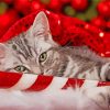 Aesthetic Cat Christmas Paint By Numbers