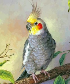 Aesthetic Cockatiel Paint By Numbers