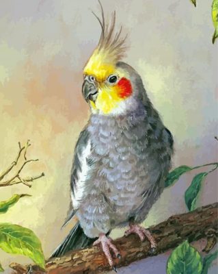 Aesthetic Cockatiel Paint By Numbers