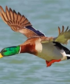 Aesthetic Duck Flying Paint By Numbers