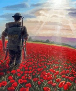 Aesthetic Flanders Field Paint By Numbers