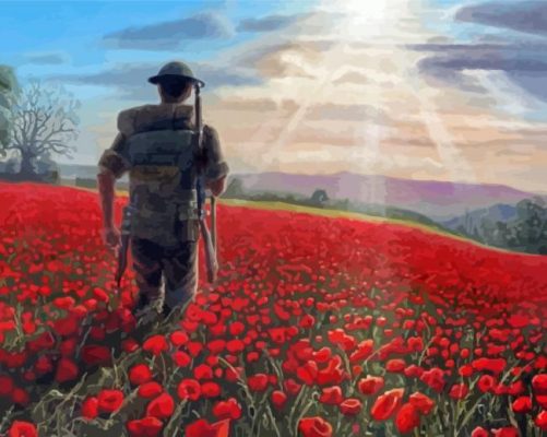 Aesthetic Flanders Field Paint By Numbers