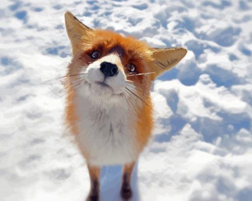 Aesthetic Fox Snow Paint By Numbers