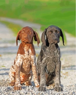 Aesthetic German Shorthaired Dogs Paint By Numbers