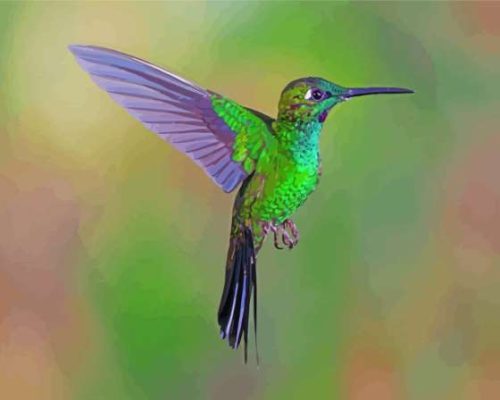 Aesthetic Green Hummingbird Paint By Numbers