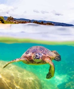 Aesthetic Hawaii Turtles Paint By Numbers