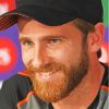 Aesthetic Kane Williamson Paint By Numbers