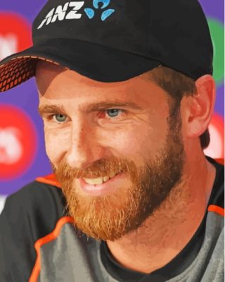 Aesthetic Kane Williamson Paint By Numbers