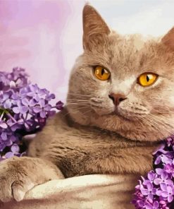 Aesthetic Kitten With Purple Flowers Paint By Numbers