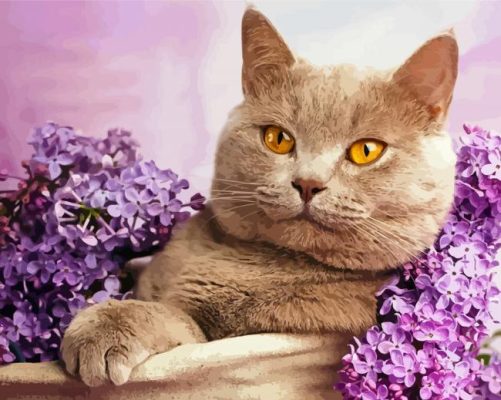 Aesthetic Kitten With Purple Flowers Paint By Numbers