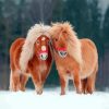 Aesthetic Mini Horses Paint By Numbers