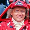 Aesthetic Niki Lauda Paint By Numbers