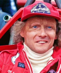 Aesthetic Niki Lauda Paint By Numbers