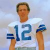 Aesthetic Roger Staubach Paint By Numbers