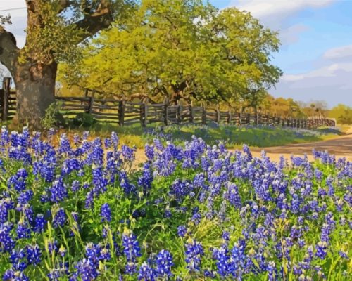 Aesthetic Texas Bluebonnets Paint By Numbers