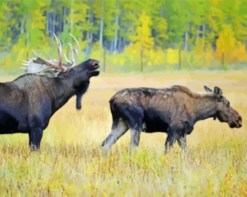 Aesthetic Moose Wildlife Paint By Numbers