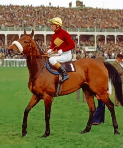 Aesthetic Red Rum Racehorse Paint By Numbers