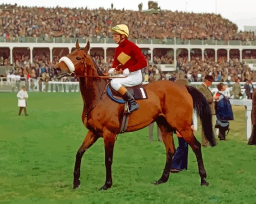 Aesthetic Red Rum Racehorse Paint By Numbers