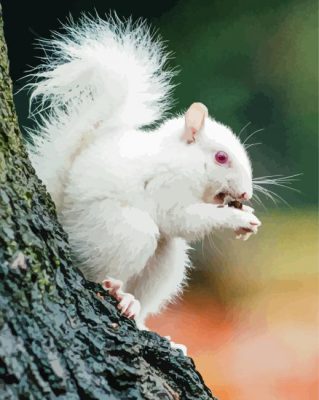 Albino Squirrels Eating Paint By Numbers