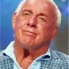 American Wrestler Ric Flair Paint By Numbers