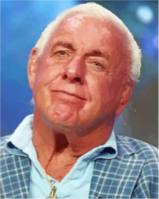 American Wrestler Ric Flair Paint By Numbers