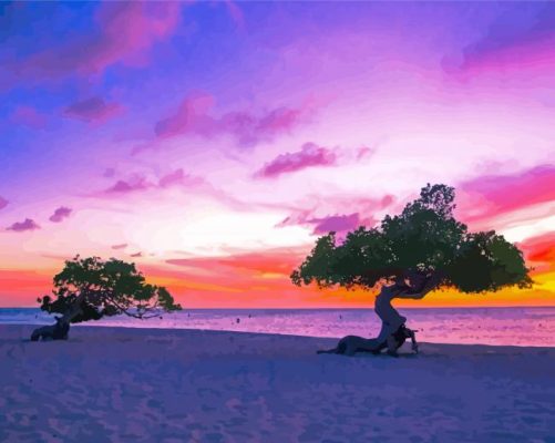 Aruba Beach At Sunset View Paint By Numbers