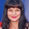 Beautiful Actress Pauley Perrette Paint By Numbers