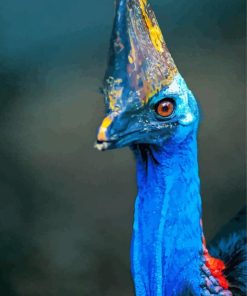 Blue Emu Bird Paint By Numbers