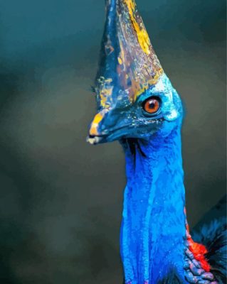 Blue Emu Bird Paint By Numbers