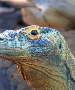 Blue Komodo Dragon Paint By Numbers