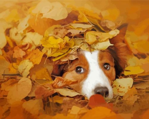 Brown Border Collie In Autumn Leaves Paint By Numbers