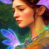 Butterfly Fairy Paint By Numbers