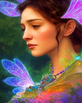 Butterfly Fairy Paint By Numbers