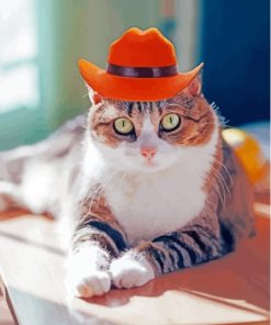 Cat With Summer Hat Paint By Numbers