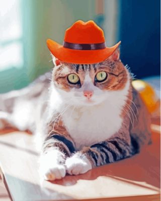 Cat With Summer Hat Paint By Numbers