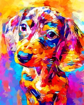 Colorful Miniture Dashund Dog Paint By Numbers