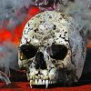Cool Vampire Skull Paint By Numbers