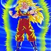 Dragon Ball Z Super Saiyan 3 Paint By Numbers